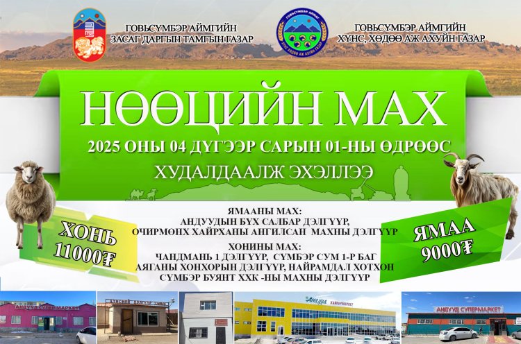 НӨӨЦИЙН МАХ ХУДАЛДААЛЖ ЭХЭЛЛЭЭ